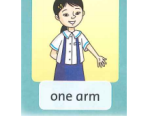 ONE  ARM