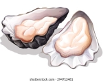 OYSTER