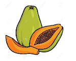 papaya