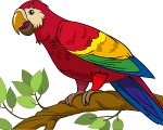 PARROT