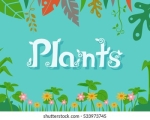 PLANT