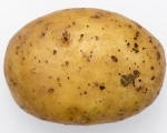POTATO