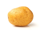 POTATO