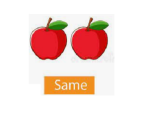 same