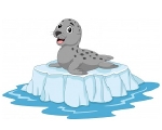 SEAL