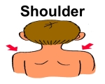 SHOULDER