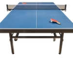 TABLE TENNIS