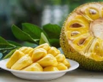JACKFRUIT