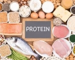PROTEIN 