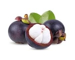 MANGOSTEEN