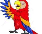 PARROT 