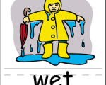 WET