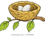 NEST 