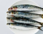 SARDINE