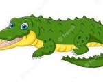CROCODILE