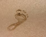FOOTPRINT 