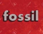 FOSSIL 