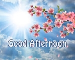 GOOD AFTERNOON!