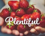 PLENTIFUL 