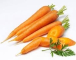 CARROT