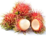 RAMBUTAN