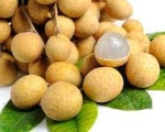 LONGAN 