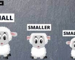 SMALL - SMALLER THAN 