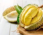 DURIAN 