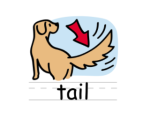TAIL
