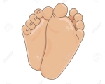 TOE