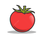 Tomato 