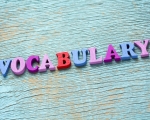 VOCABULARY