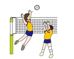 VOLLEYBALL