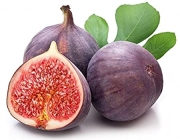 FIG