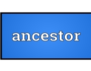ANCESTOR