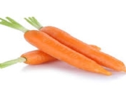 carrot