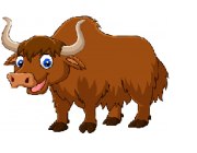 yak