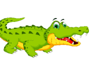 crocodile