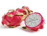 dragon fruit