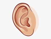 EAR