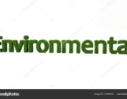 ENVIRONMENTAL