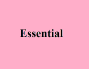 ESSENTIAL (ADJ.)