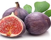 fig