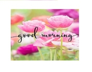 GOOD MORNING