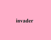 INVADER (N.)