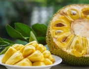 jackfruit