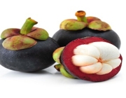 mangosteen