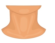 NECK