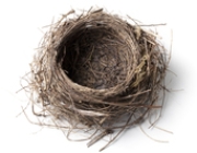 nest