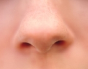NOSE